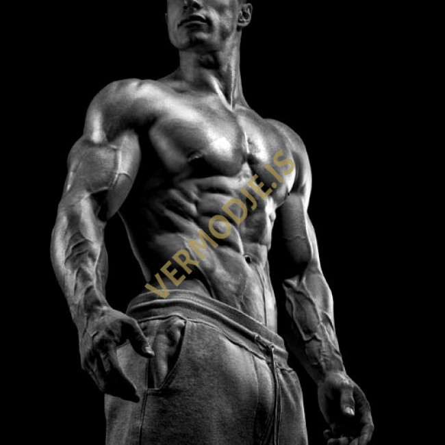 Turinabol Bulking Cyklus - Začátečníci